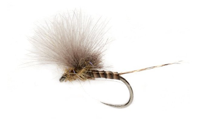 McPhail CDC Olive Quill B/L McPhail CDC Olive Quill B/L, Size 16