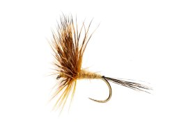 McPhail Comparadun Golden Olive McPhail Comparadun Golden Olive, Size 14