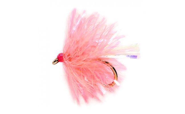 Micro Coral Blob Micro Coral Blob, Size 12