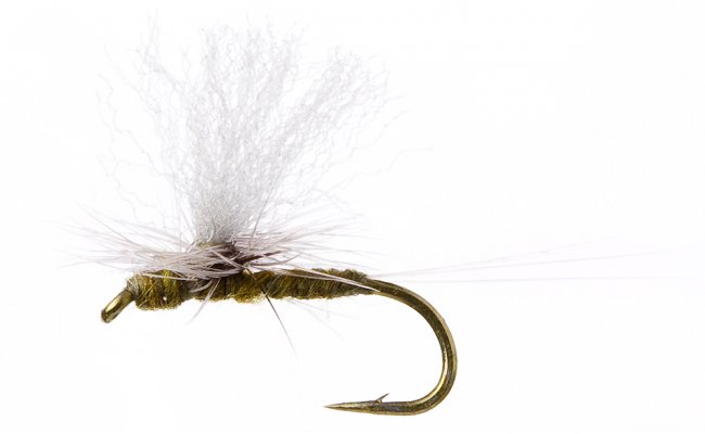 Minnikin's Paradun Dark Olive Minnikin's Paradun Dark Olive, Size 16