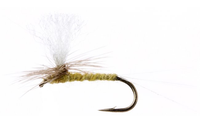 Minnikin's Paradun Light Olive Minnikin's Paradun Light Olive, Size 16