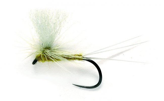 Minnikin's Paradun Olive Minnikin's Paradun Olive, Size 17