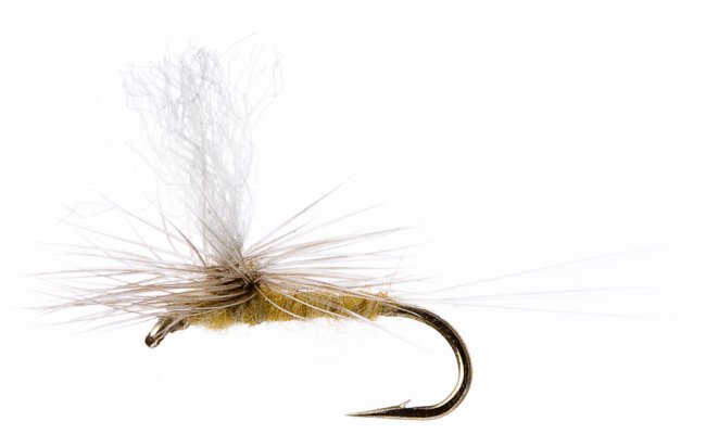 Minnikin's Paradun Pale Watery Minnikin's Paradun Pale Watery, Size 18