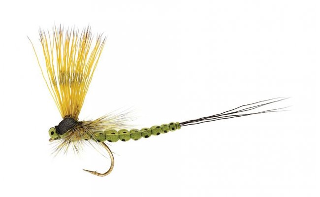 Mohican Mayfly Olive Mohican Mayfly Olive, Size 10