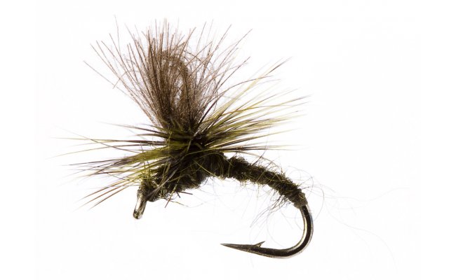 Muller Olive Muller Olive, Size 16