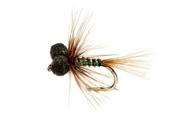 Neutral Density Green Nemo Booby Neutral Density Green Nemo Booby, Size 12