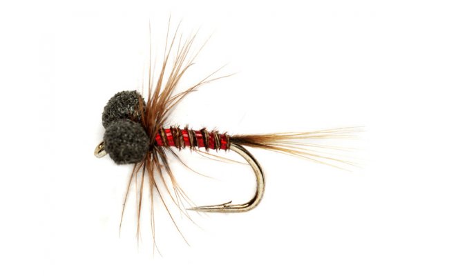 Neutral Density Red Nemo Booby Neutral Density Red Nemo Booby, Size 12