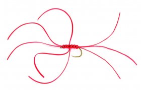 Northern Spider Red Bloodworm B/L Northern Spider Red Bloodworm, Size 10