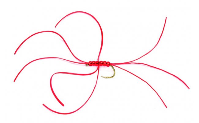 Northern Spider Red Bloodworm B/L Northern Spider Red Bloodworm, Size 10