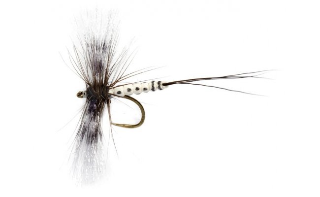 OE Greendrake Spent Spinner B/L OE Greendrake Spent Spinner B/L, Size 12