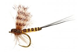 OE Mohican March Brown B/L OE Mohican March Brown B/L, Size 14