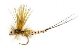 OE Mohican May Sml/Male OE Mohican May Sml/Male, Size 14