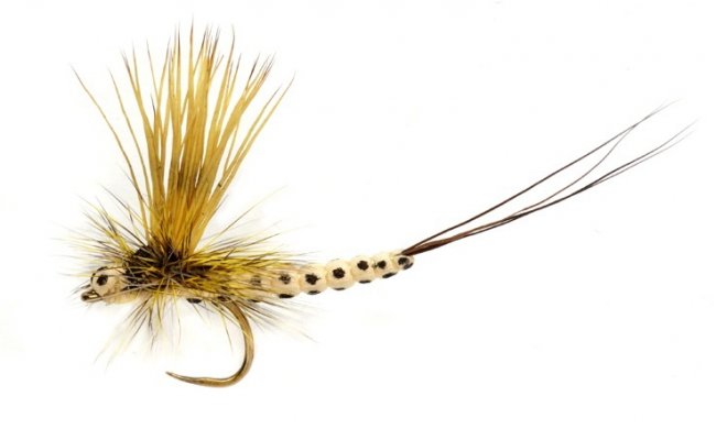 OE Mohican May Sml/Male OE Mohican May Sml/Male, Size 14