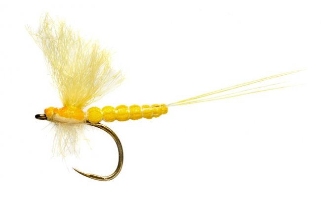 OE Mohican Yellow May Dun B/L OE Mohican Yellow May Dun B/L, Size 14