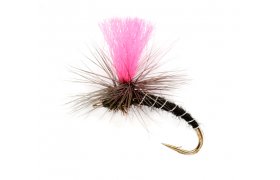 OE Pinkhammer OE Pinkhammer, Size 14