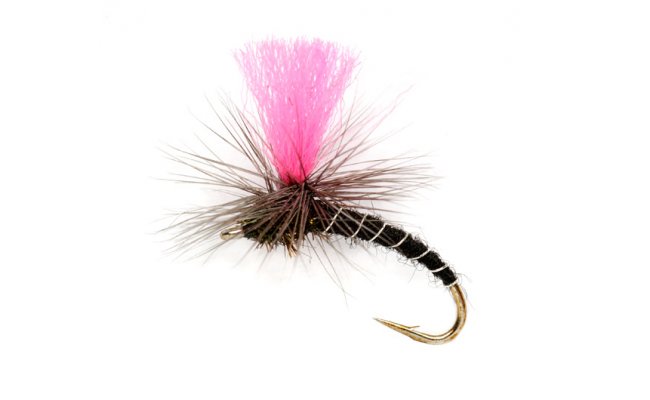 OE Pinkhammer OE Pinkhammer, Size 14
