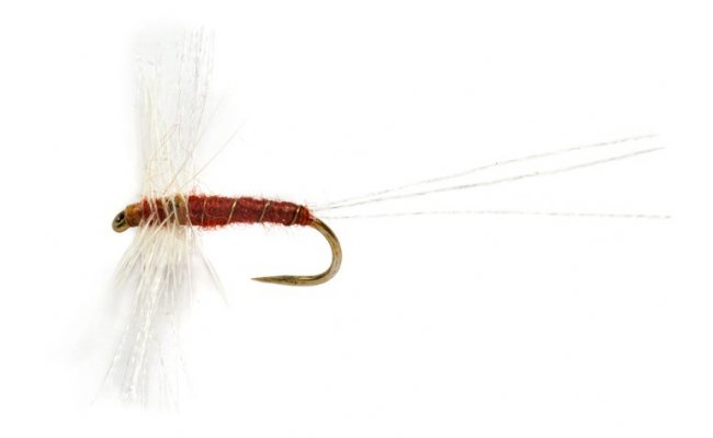 OE Spent Circle Spinner BWO B/L OE Spent Circle Spinner BWO B/L, Size 16