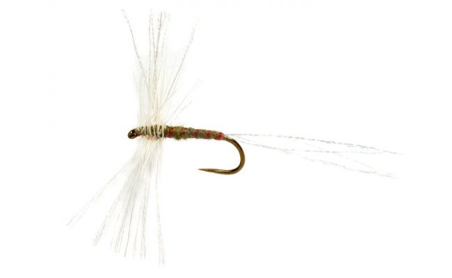 OE Spent Circle Spinner Olive Upright B/L OE Spent Circle Spinner Olive Upright B/L, Size 14