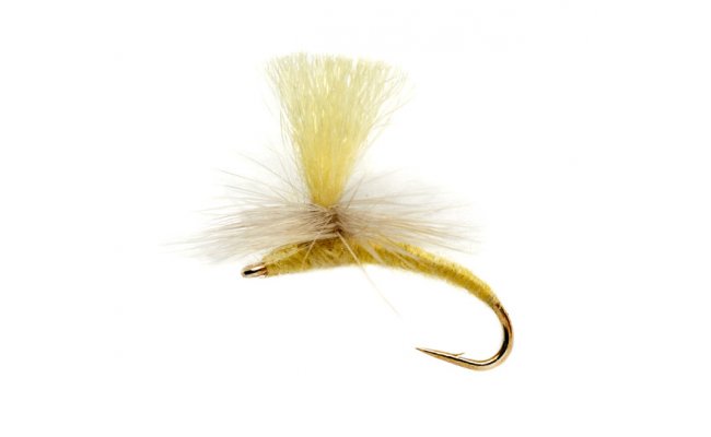 OE Yellowhammer OE Yellowhammer, Size 14