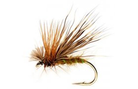 Olive Drop Sedge Olive Drop Sedge, Size 12