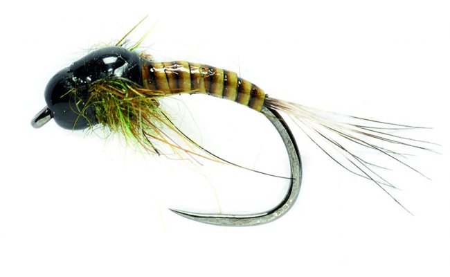 Olive Quill Nymph | CzechNymph.com