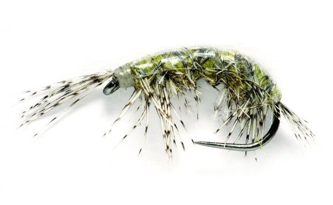 Oliver Edwards Freshwater Shrimp Oliver Edwards Freshwater Shrimp, Size 14