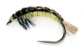 Oliver Edwards Hydropsche Larva Oliver Edwards Hydropsche Larva, Size 12