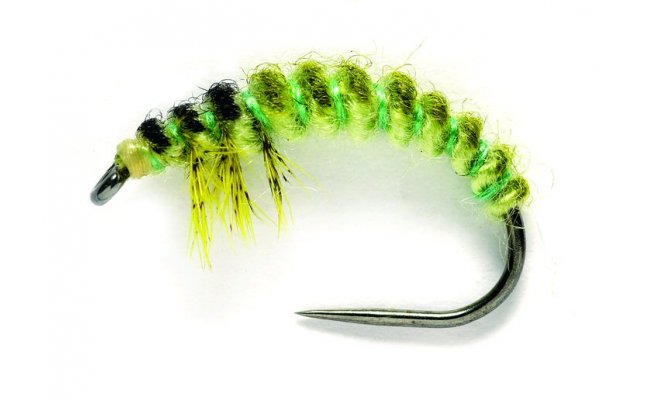 Oliver Edwards Ryacophila Larva Oliver Edwards Ryacophila Larva, Size 12