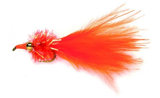 Orange Nomad B/L Orange Nomad B/L, Size 12