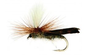 Parachute Caddis Parachute Caddis, Size 10