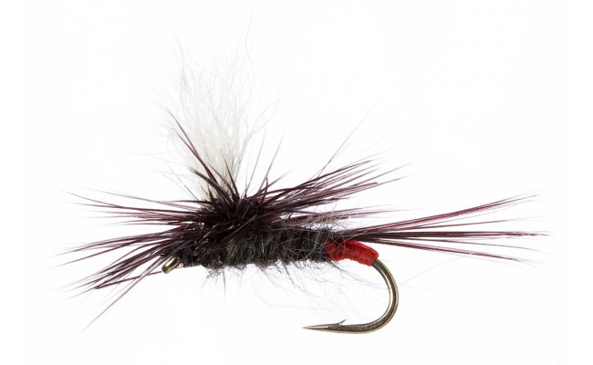 Parachute Iron Blue Parachute Iron Blue, Size 16