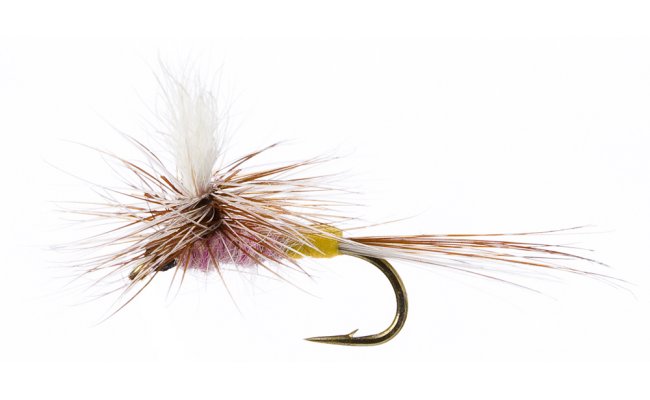 Parachute Tup's Parachute Tup's, Size 16