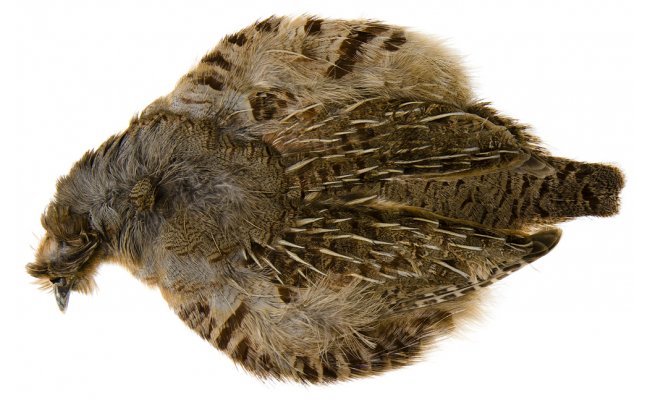 Partridge Complete Skin Hends Partridge Complete Skin  Hends Natural