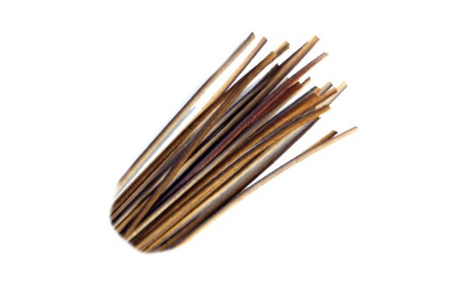 Peacock Quills Veniard Hand Stripped Peacock Quills Veniard Hand Stripped Brown