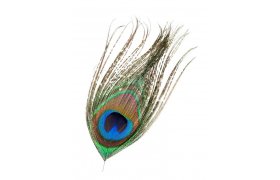 Peacock Veniard Eye Top Peacock Veniard Eye Top Natural