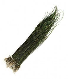 Peacock Veniard Herl