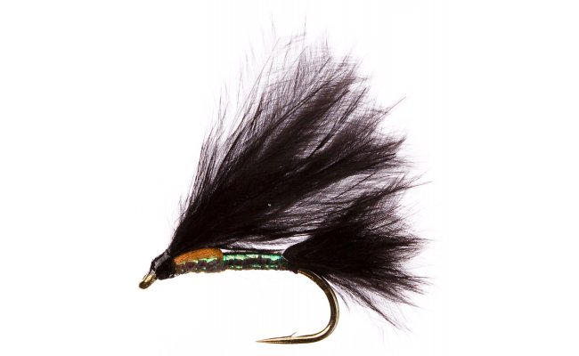 Pearl Cormorant  Pearl Cormorant, Size 10