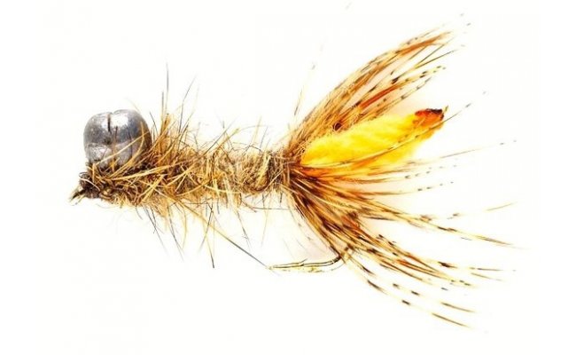 Peeping Caddis Hare's Ear Peeping Caddis Hare's Ear, Size 10