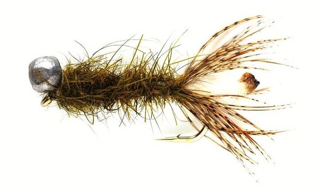 Peeping Caddis Olive Peeping Caddis Olive, Size 10
