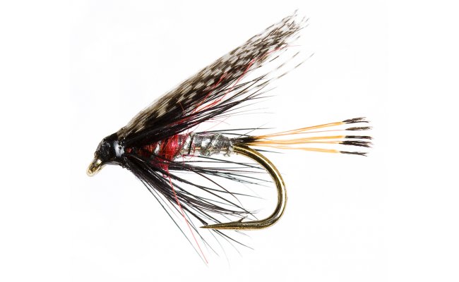 Peter Ross Peter Ross, Size 12