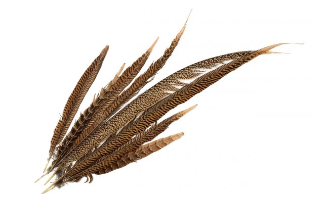 Pheasant Tail Golden Hends Pheasant Tail Golden Hends Natural