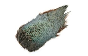 Pheasant Veniard Cock Ringneck Chinese ... Pheasant Veniard Cock Ringneck Chinese Back Patch