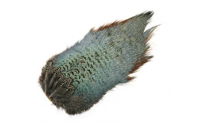 Pheasant Veniard Cock Ringneck Chinese Back Patch Pheasant Veniard Cock Ringneck Chinese Back Patch