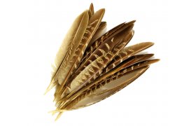 Pheasant Veniard Cock Ringneck Wing Quills Pheasant Veniard Cock Ringneck Wing Quills