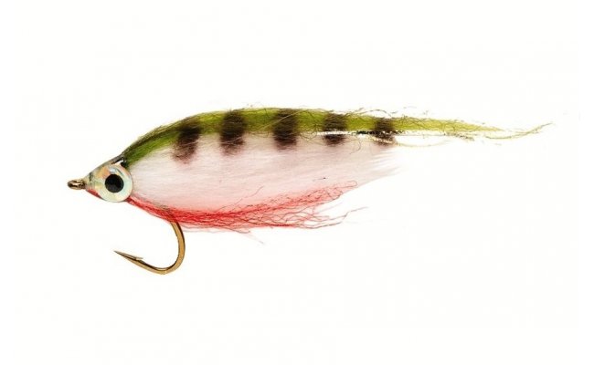 Polar Minnow Perch Polar Minnow Perch, Size 4