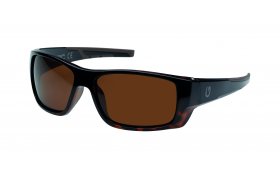 Polarised Glasses Kinetic Baja Snook Brown Polarised Glasses Kinetic Baja Snook Brown