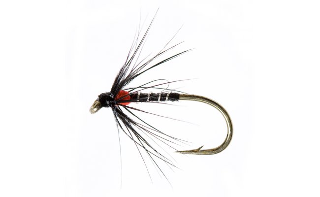 Procter Hot Spot Spider Red Procter Hot Spot Spider Red, Size 14