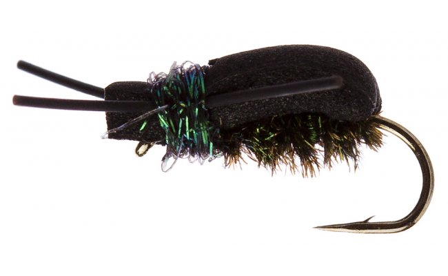 Procter Kicking Beetle Peacock Procter Kicking Beetle Peacock, Size 12