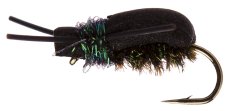 Procter Kicking Beetle Peacock