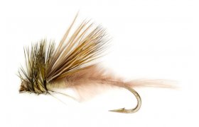 Procter's Active Mayfly Emerger Procter's Active Mayfly Emerger, Size 10